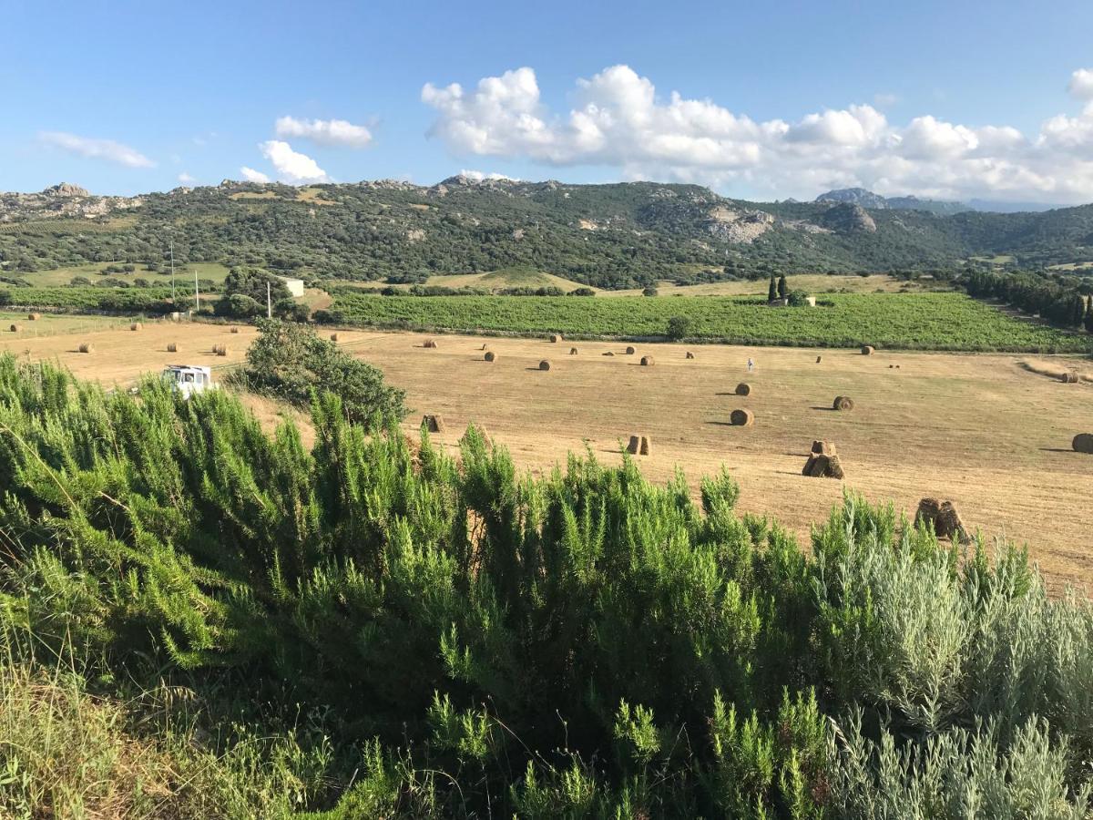 San Leonardo Country House Calangianus Exterior foto